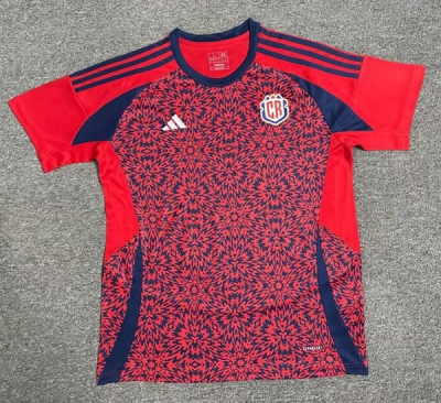 2425 Costa Rica home Soccer Jersey