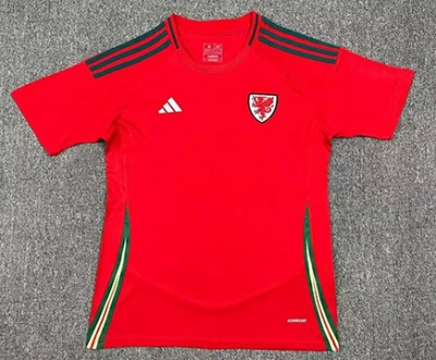 2425 Wales Home Soccer Jersey