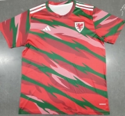 2425 Welsh Pre-Match Soccer Jersey