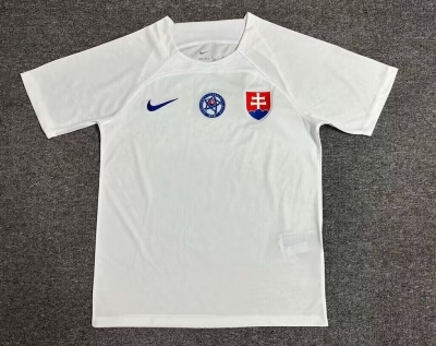 2425 Slovak Away Soccer Jersey