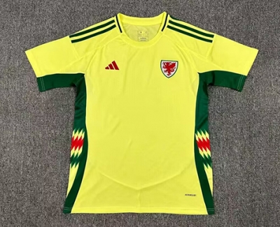 2425 Wales Away Soccer Jersey