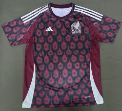 2425 Mexico Away Soccer Jersey