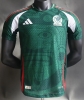 2425 Mexico special version green player version soccer jersey